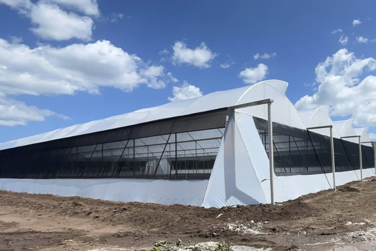 Invernadero Cenital construido por CMA Agronegocios