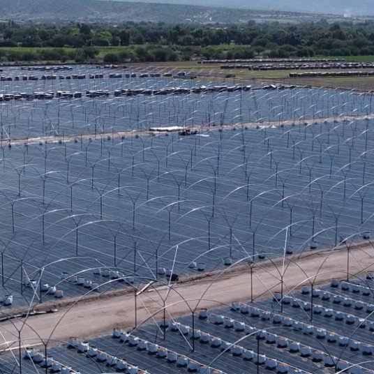 Macrotúneles agrícolas para berries