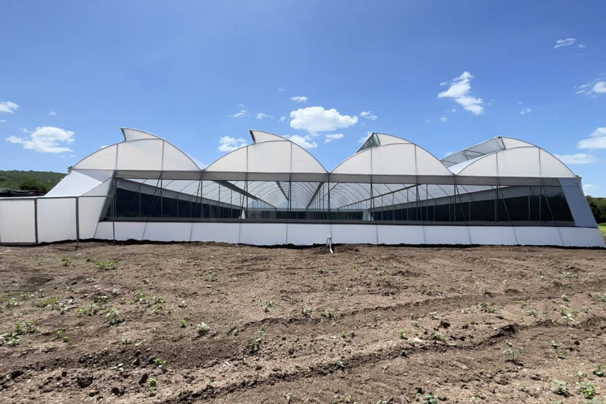 Invernadero Cenital - Proyecto Completado